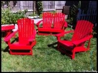 lawn-chairs-3