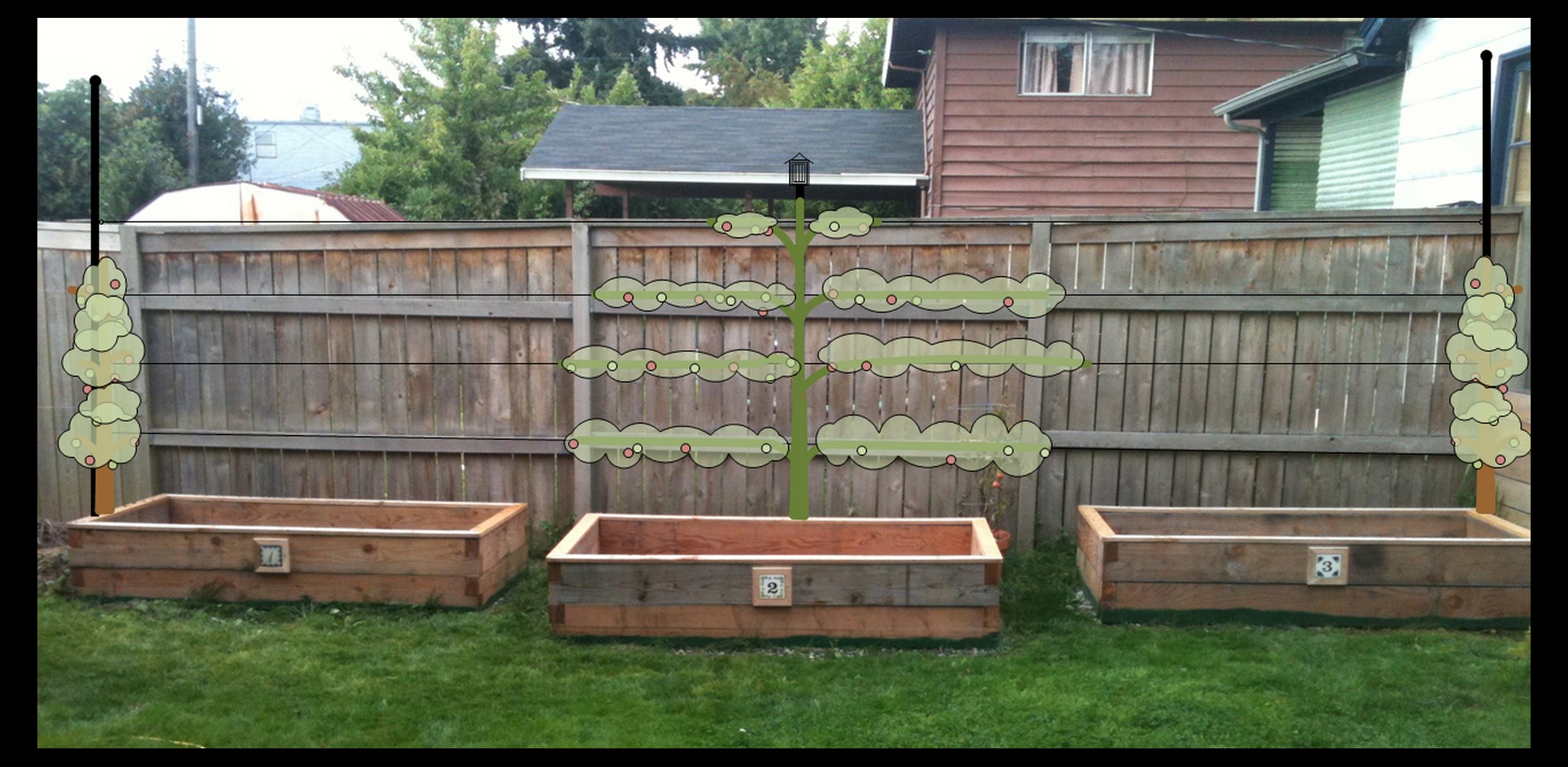 Above Ground Garden Box Ideas Photograph | Build A Platform