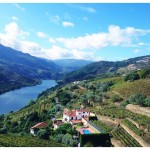 Porto and Douro 2014 (15)